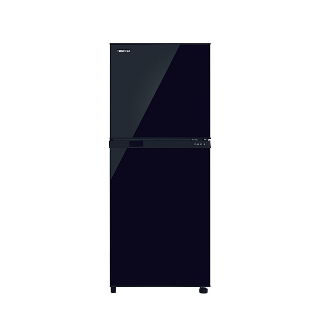 Toshiba Refrigerator (Inverter,Double door,194L,Blue...